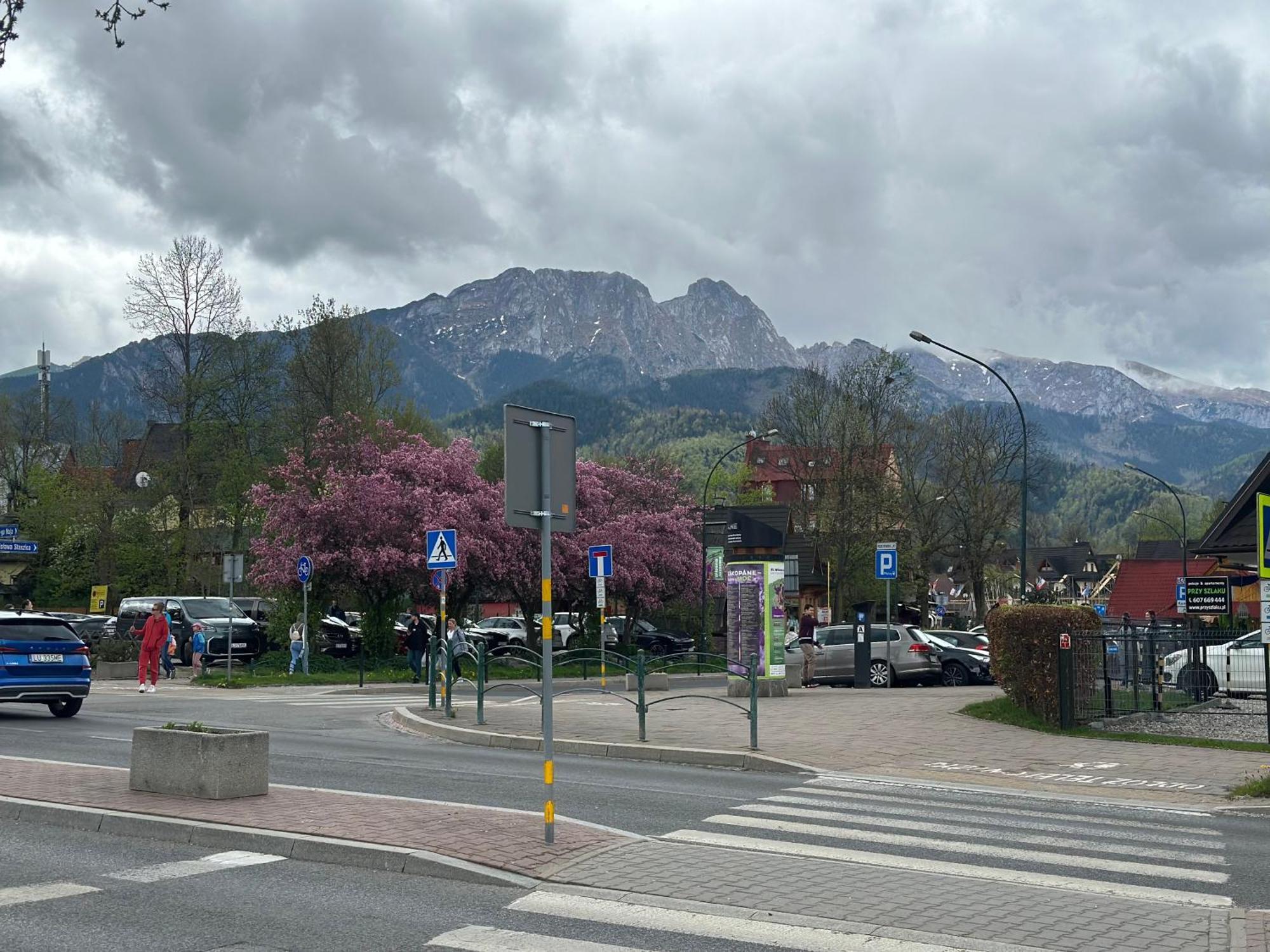 Lesny Dworek Zakopane Exteriér fotografie