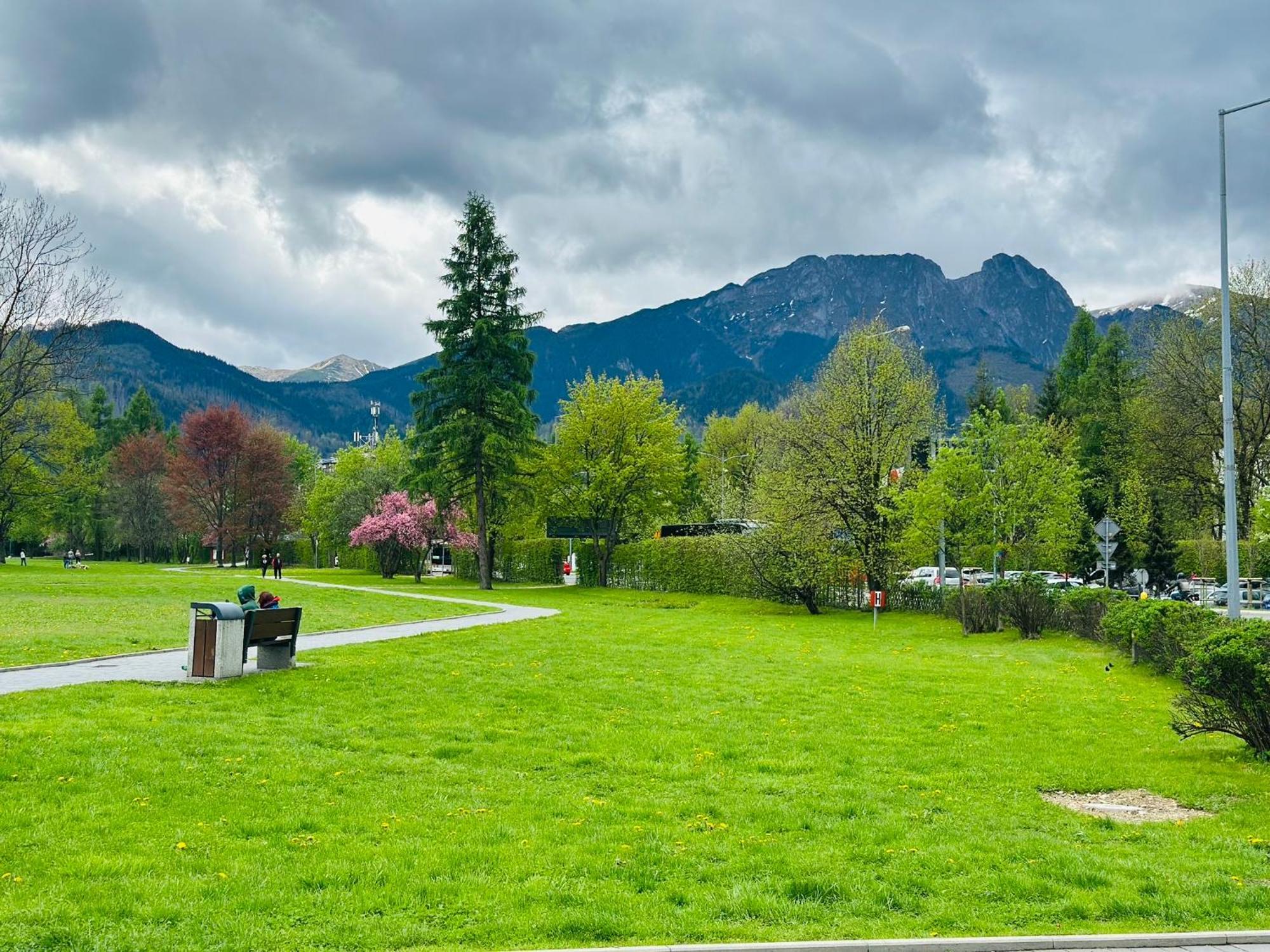 Lesny Dworek Zakopane Exteriér fotografie